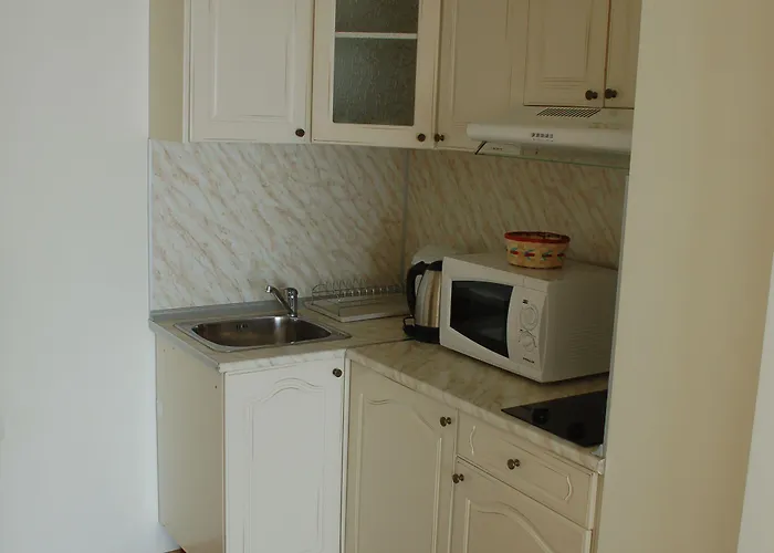 Apartman Flores Park *