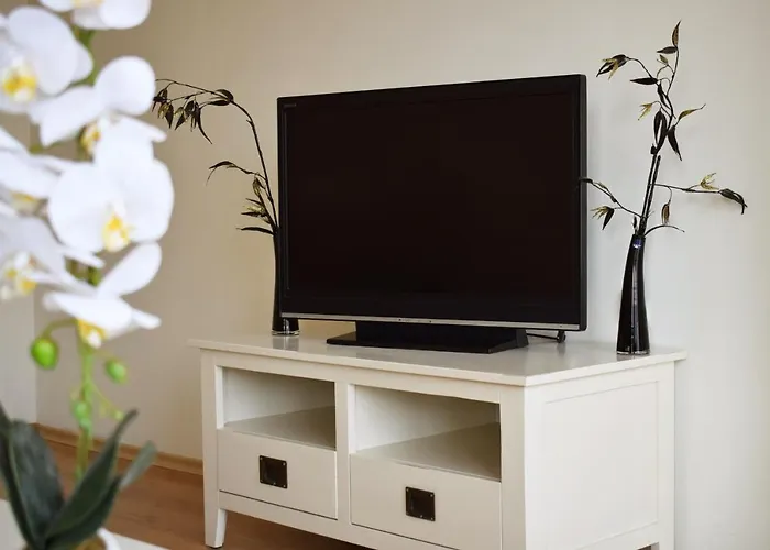 Flores Park ساني بيتش